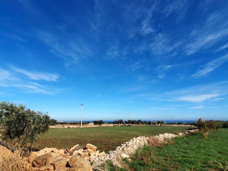 Terreno agricolo in Vendita a Polignano a Mare, 30'000€, 4500 m²