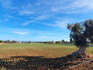 Terreno agricolo in Vendita a Polignano a Mare, 30'000€, 4500 m²