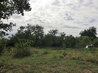 Terreno agricolo in Vendita a Civita Castellana, 45'000€, 3050 m²