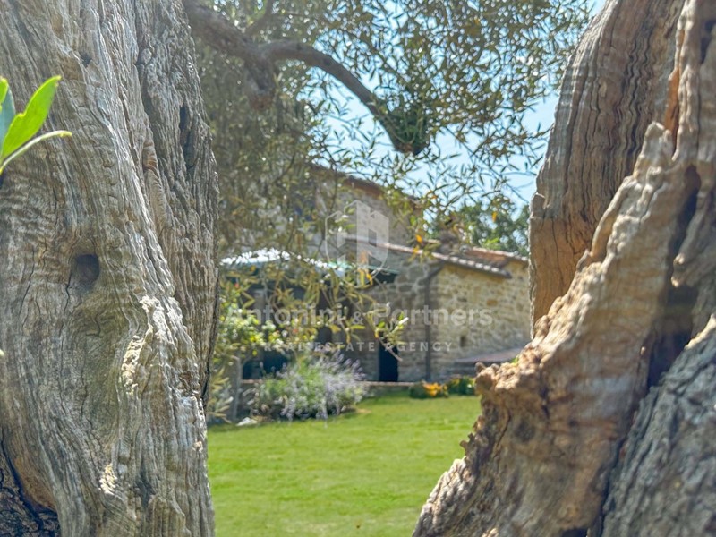 Casa Indipendente in Vendita a Passignano sul Trasimeno, 470'000€, 210 m², con Box