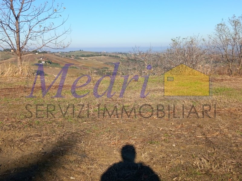 Terreno agricolo in Vendita a Montiano, zona Montenovo, 85'000€, 180 m²