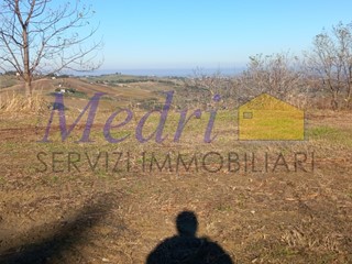 Terreno agricolo in Vendita a Montiano, zona Montenovo, 85'000€, 180 m²