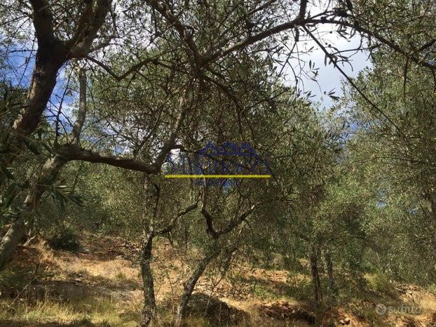 Terreno agricolo in Vendita a San Giuliano Terme, zona Asciano, 35'000€, 8640 m²