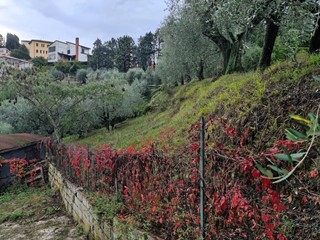 Casa Indipendente in Vendita a San Miniato, 600'000€, 230 m², con Box