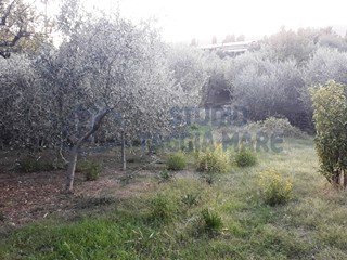 Terreno agricolo in Vendita a Taggia, 55'000€, 1200 m²
