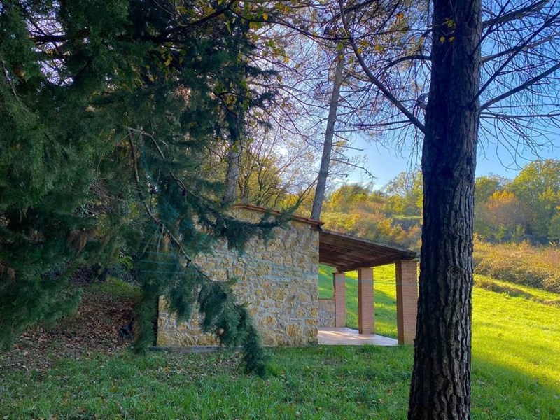 Terreno agricolo in Vendita a Montescudaio, 68'000€, 30 m²