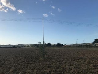 Terreno industriale in Vendita a Cartoceto, 990'000€, 11771 m²