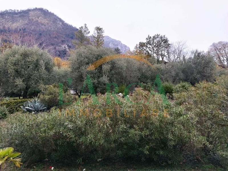 Terreno edificabile in Vendita a Sarnico, 1'200'000€, 4000 m²