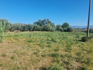 Terreno agricolo in Vendita a Milazzo, 190'000€, 7970 m²
