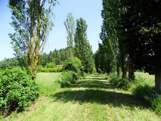 Casale in Vendita a San Miniato, zona Corazzano, 320'000€, 1065 m²