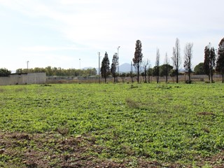 Terreno industriale in Vendita a Uta, 71'000€, 1510 m²