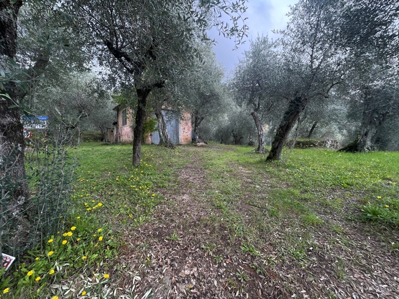 Capannone in Vendita a Pietrasanta, zona Capezzano Monte, 69'000€, 16 m²