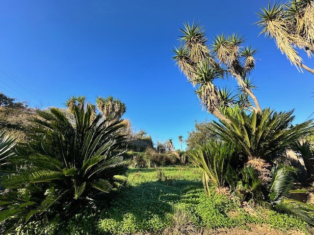 Terreno agricolo in Vendita a Barcellona Pozzo di Gotto, 129'000€, 13000 m²