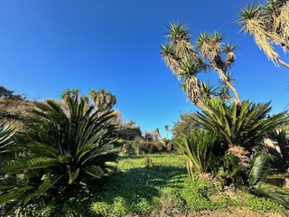 Terreno agricolo in Vendita a Barcellona Pozzo di Gotto, 129'000€, 13000 m²