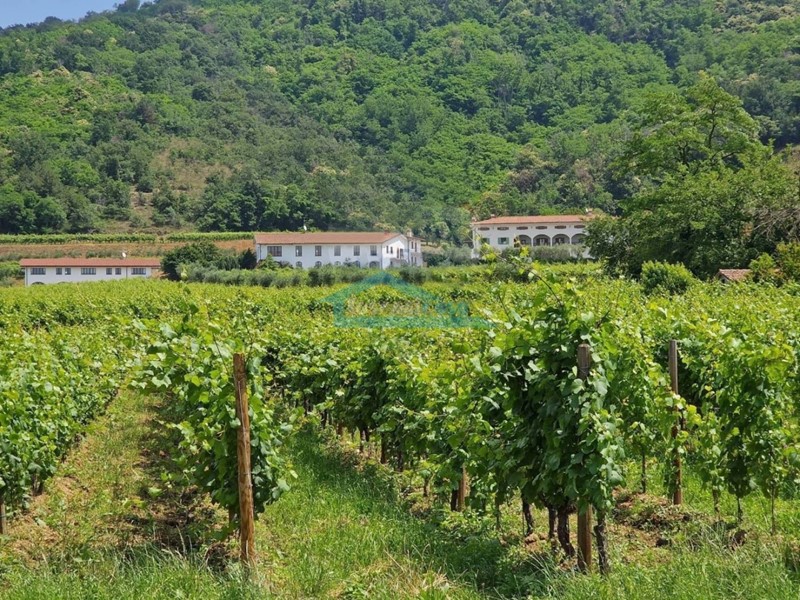 Immobile commerciale in Vendita a Adro, 2'100'000€, 1625 m²