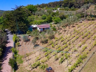 Casa Indipendente in Vendita a Rosignano Marittimo, 86'000€, 20 m², con Box