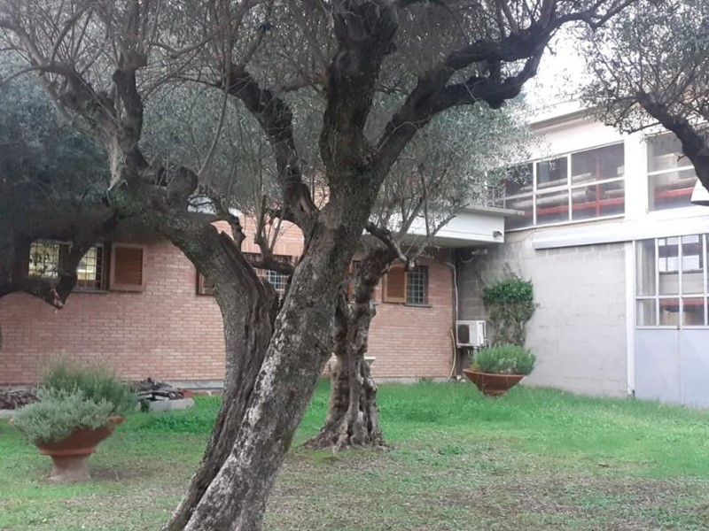 Casa Indipendente in Vendita a Massa, 950'000€, 240 m²