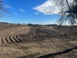 Terreno agricolo in Vendita a Siracusa, zona CIRCUITO - CIANE, 155'000€, 38747 m²