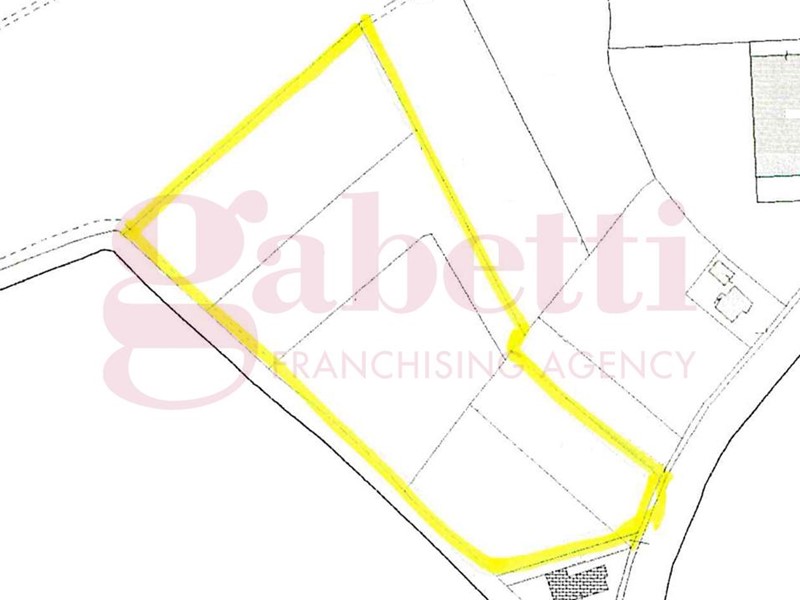 Terreno agricolo in Vendita a Codevigo, 97'000€, 19000 m²