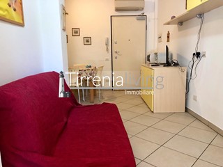 Bilocale in Affitto a Pisa, zona Tirrenia, 40 m², arredato