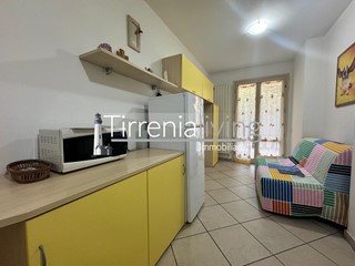 Bilocale in Affitto a Pisa, zona Tirrenia, 40 m², arredato