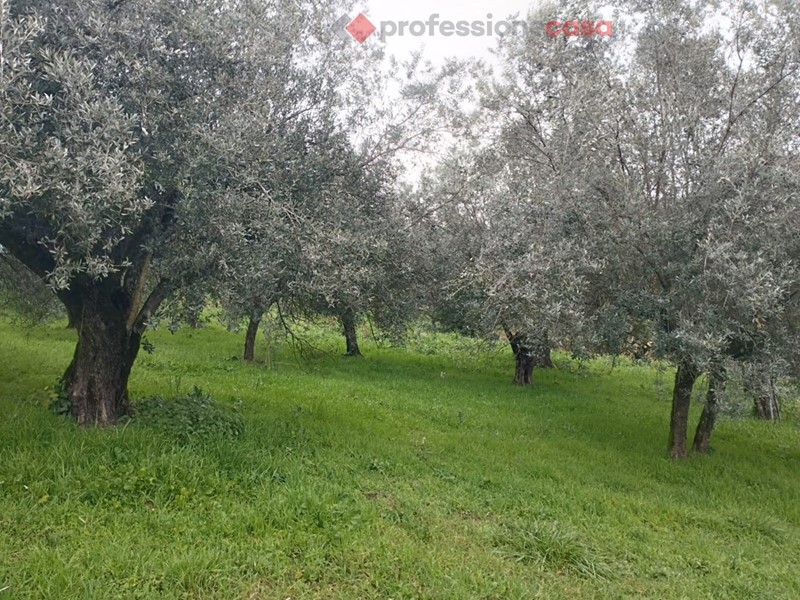 Terreno edificabile in Vendita a Boville Ernica, 34'000€, 7250 m²