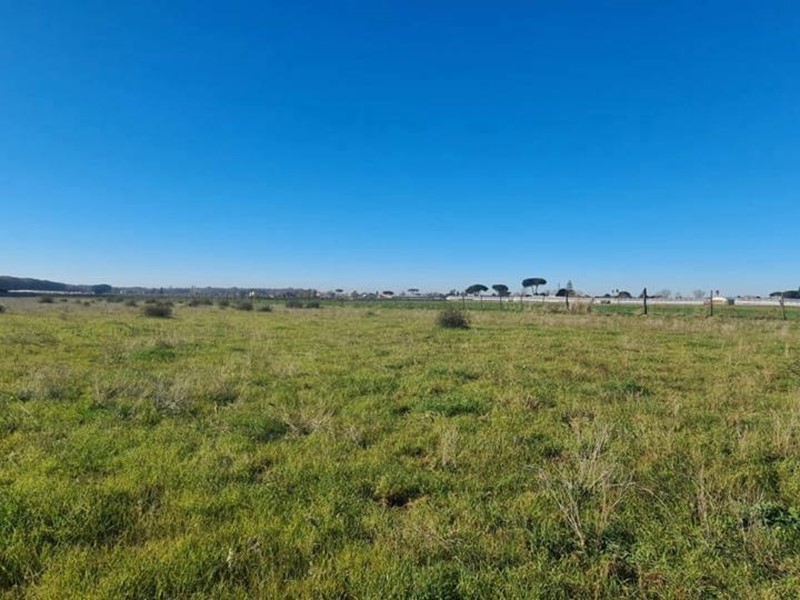 Terreno agricolo in Vendita a Nettuno, 95'000€, 15660 m²