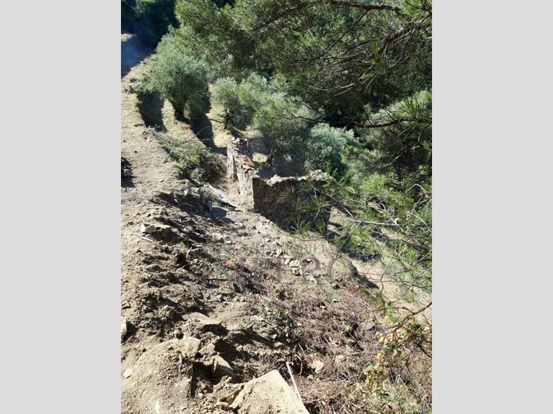 Terreno agricolo in Vendita a Ventimiglia, zona Verrandi, 40'000€, 3500 m²