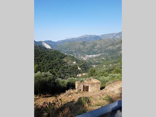 Terreno agricolo in Vendita a Ventimiglia, zona Verrandi, 40'000€, 3500 m²