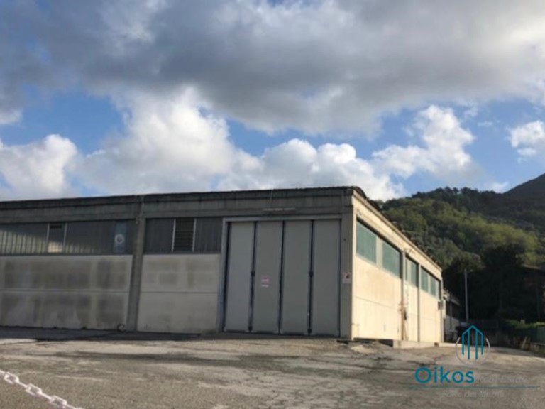 Capannone in Vendita a Massarosa, 1'300'000€, 910 m²