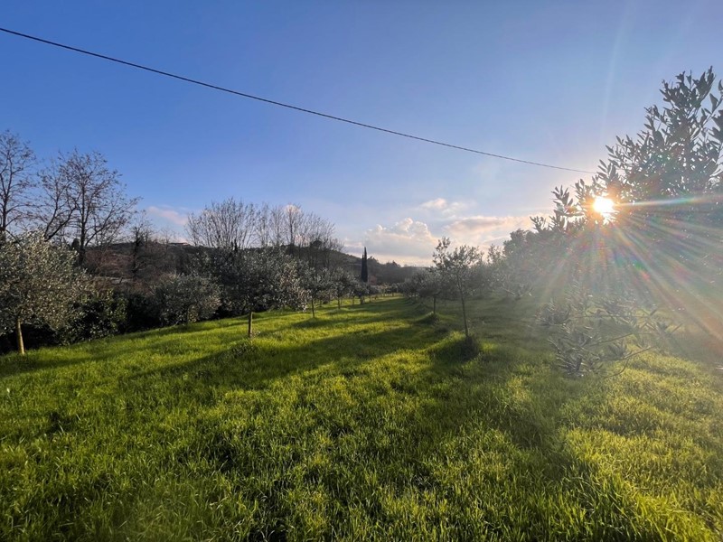 Terreno agricolo in Vendita a Casciana Terme Lari, zona Perignano, 23'000€, 4000 m²