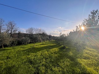 Terreno agricolo in Vendita a Casciana Terme Lari, zona Perignano, 23'000€, 4000 m²