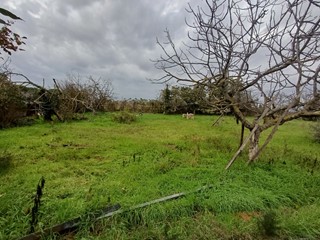 Terreno agricolo in Vendita a Roma, zona Borghesiana, 69'000&euro;, 