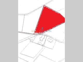 Terreno agricolo in Vendita a Carrara, zona Marina Di Carrara, 100'000€, 4933 m²