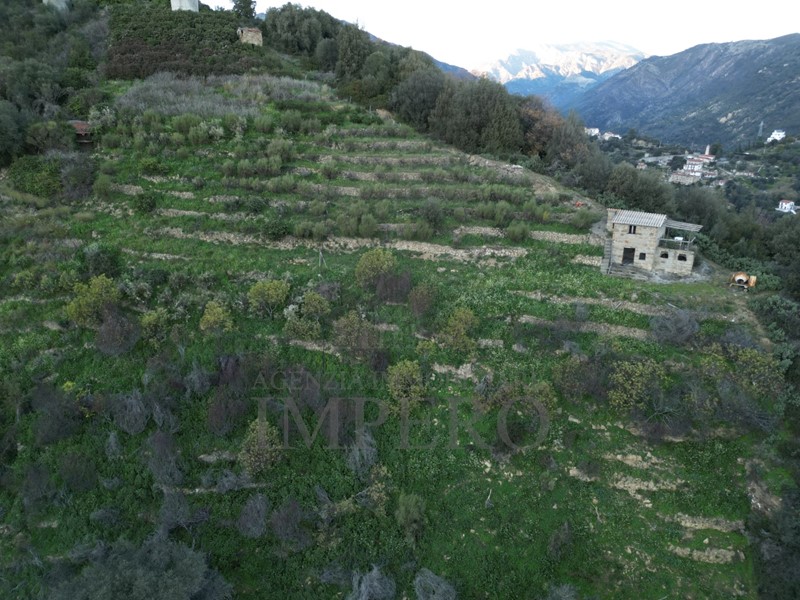 Terreno agricolo in Vendita a Ventimiglia, zona Sealza, 60'000€, 2093 m²