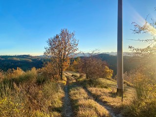 Terreno agricolo in Vendita a Marsaglia, 159'000€, 100000 m²