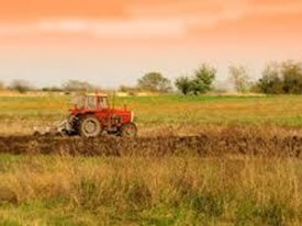 Terreno agricolo in Vendita a Luni, 65'000€, 1680 m²