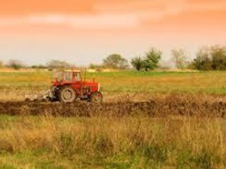 Terreno agricolo in Vendita a Luni, 65'000€, 1680 m²