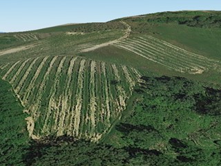 Attività commerciale in Vendita a Montaione, 850'000€, 70900 m²