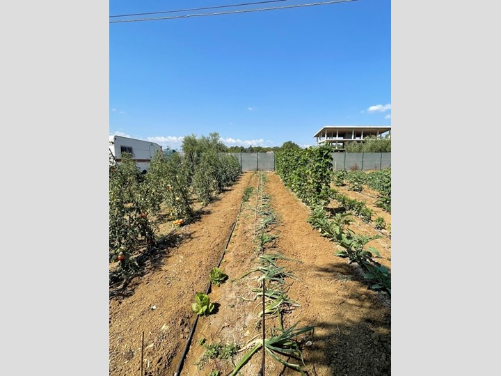 Terreno industriale in Vendita a Città Sant'Angelo, 35'000€, 591 m²