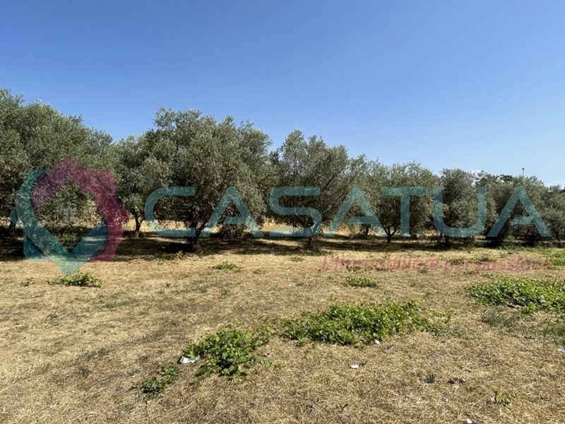 Terreno agricolo in Vendita a Silvi, 12'000€, 1621 m²