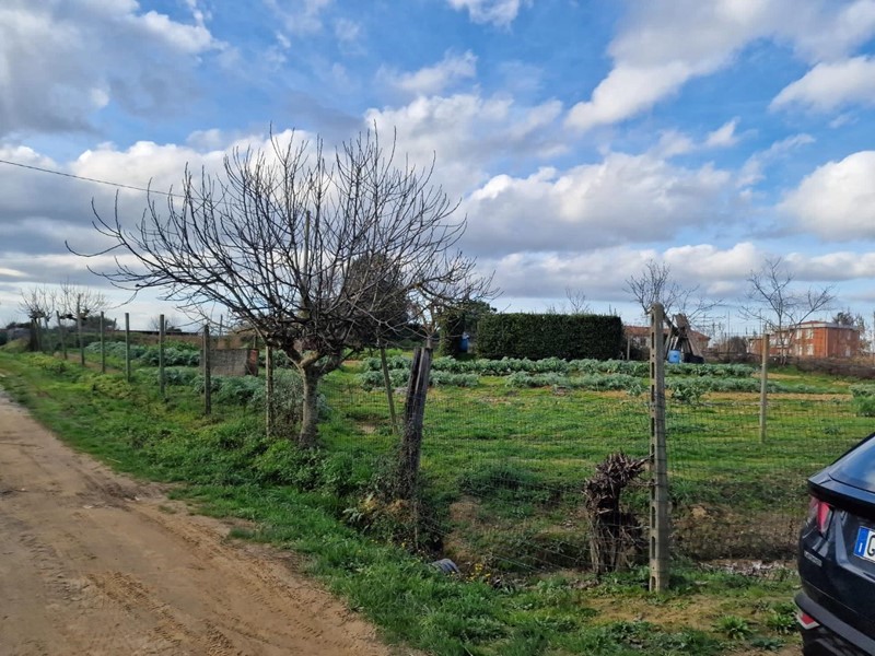 Terreno agricolo in Vendita a Crespina Lorenzana, zona Cenaia, 25'000€, 1500 m²