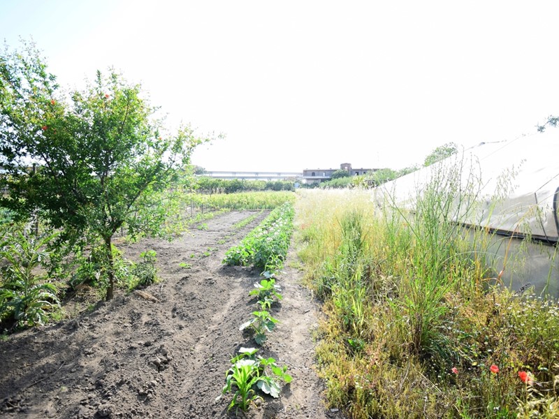 Terreno agricolo in Vendita a Nocera Inferiore, 25'000€, 2000 m²