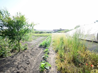 Terreno agricolo in Vendita a Nocera Inferiore, 25'000€, 2000 m²