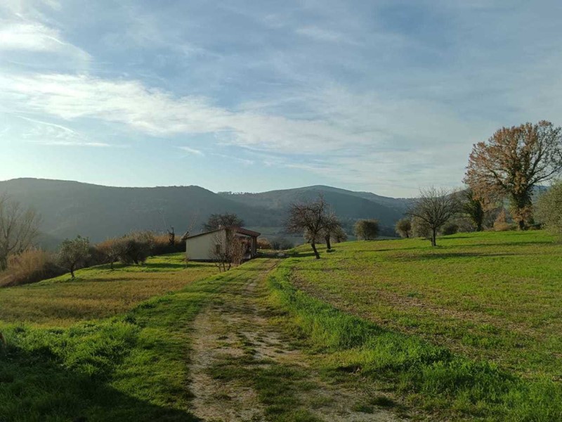 Terreno agricolo in Vendita a Amelia, 130'000€, 