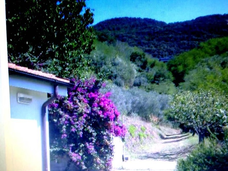 Villa in Vendita a Massarosa, zona Bozzano, 100'000€, 200 m², arredato