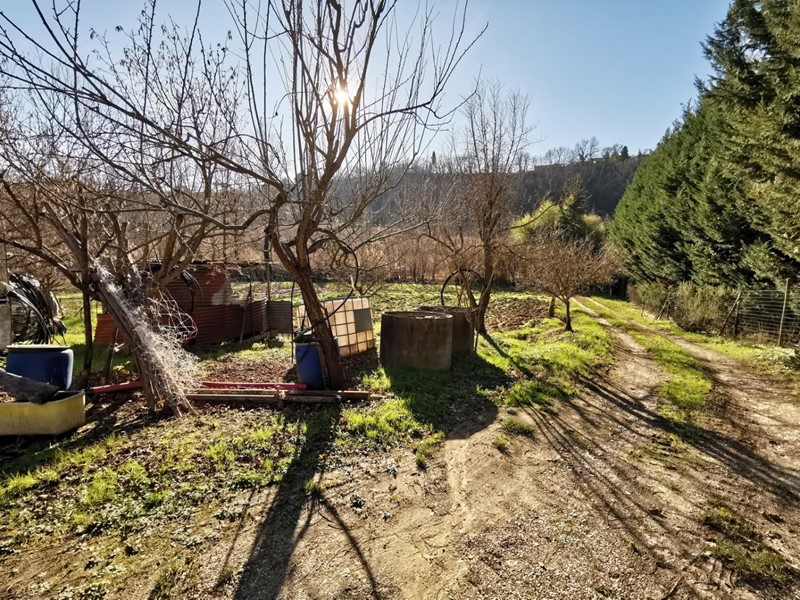 Terreno agricolo in Vendita a San Miniato, zona Catena, 45'000€, 8000 m²