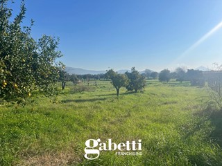 Terreno agricolo in Vendita a Pignataro Maggiore, 32'000€, 636 m²