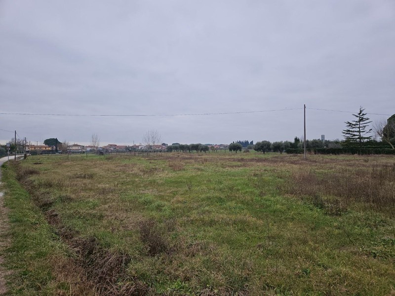 Terreno agricolo in Vendita a Cascina, zona Badia, 23'000€, 7890 m²