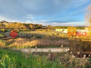 Terreno edificabile in Vendita a San Gimignano, 750'000€, 35243 m²